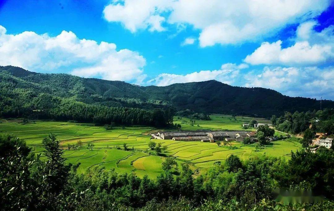 吉安:假日乡村游 不负好时光