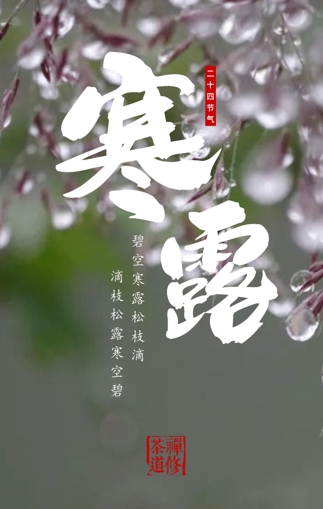 节气寒露凝之温灯饮茶