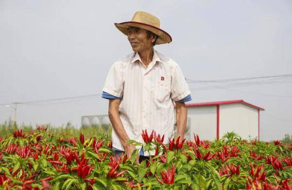 食品|被辣条改变命运的漯河