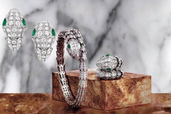 猎豹|绝配！当灵感系出同源