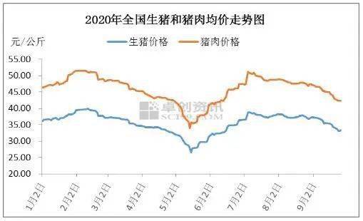生猪价格上涨原因分析 aa7b52b4390f4383a9f02a312764380d.jpeg