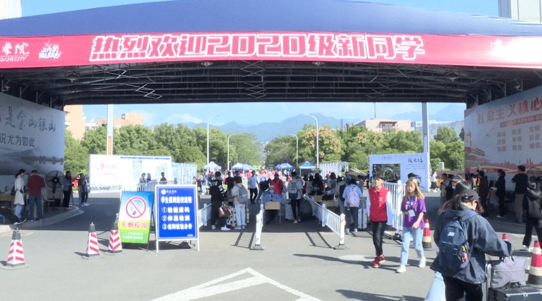 丽水学院2020校友会_录取分数〡丽水学院2020年各类别招生情况(2)