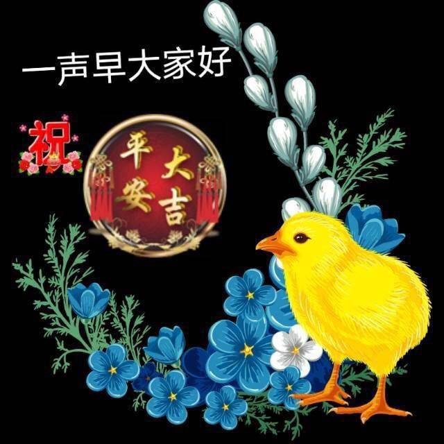 最新群发早上好问候动态表情图片 ,暖心早上好图片表情祝福语录