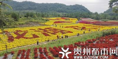 这里就是龙里县醒狮镇大岩村的"龙湖花海生态观光园".