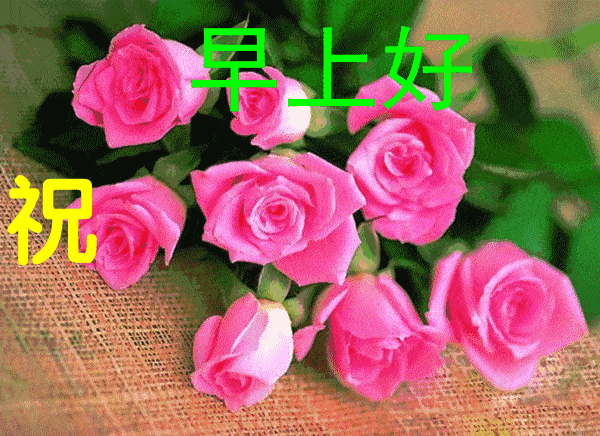 10月10日最漂亮早上好动态表情图片大全,早晨好美图大全