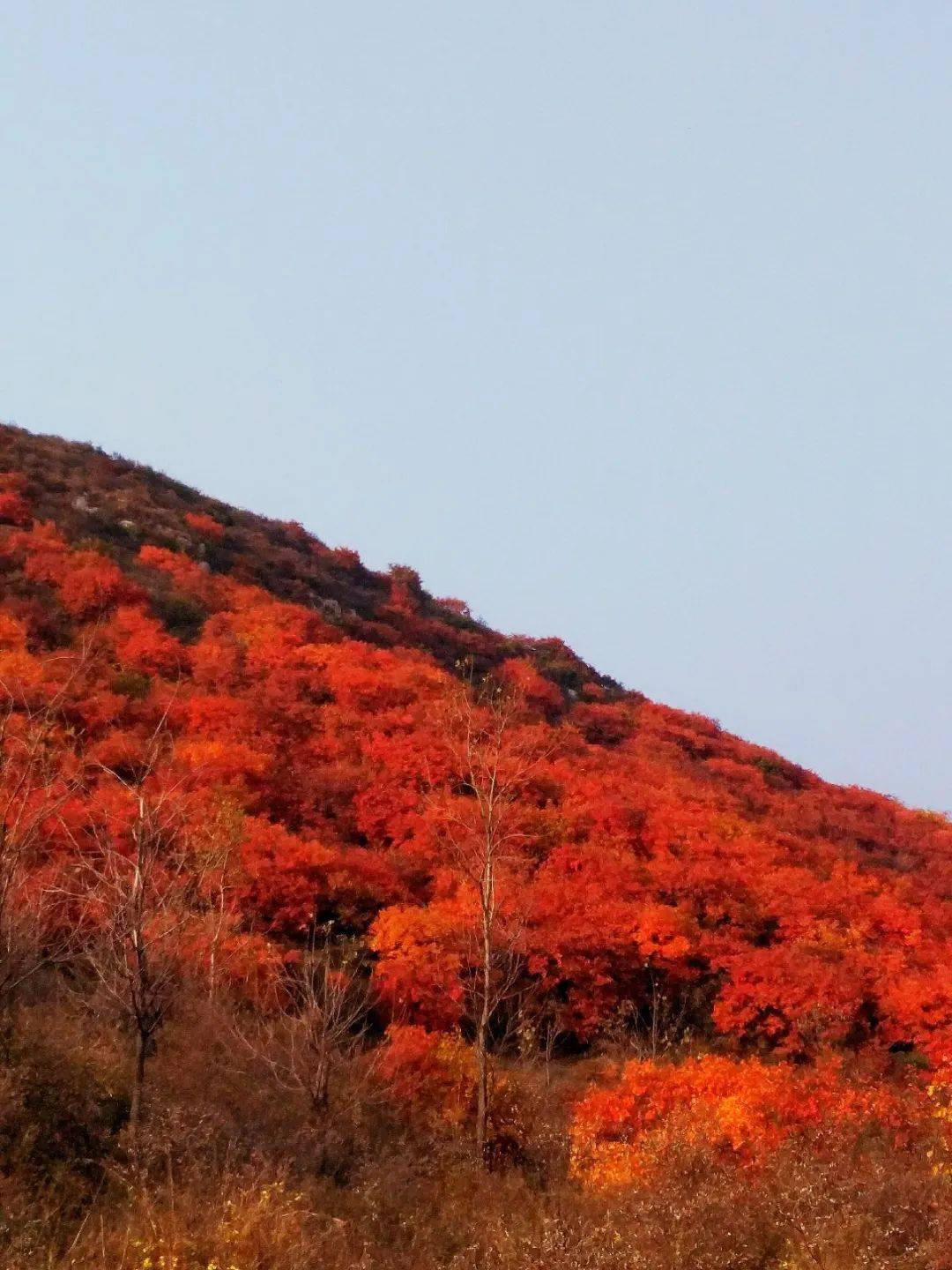 空山洞村位于郏县茨芭镇西北部,这里群山环绕,林深叶茂,风景优美.