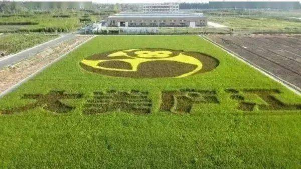 南陵全国排名2020_2020年9月“安徽好人”榜单揭晓,这些人上榜!