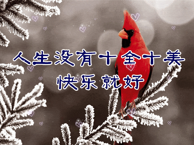 早上好祝福动态图片,太美了!