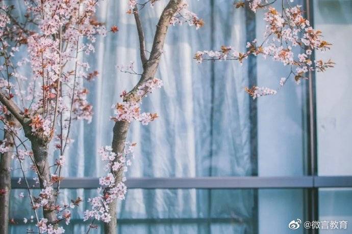 秋景|校园秋景开启，一起来看