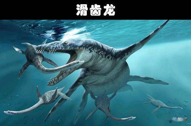 比巨齿鲨还要更加可怕的10个史前生物