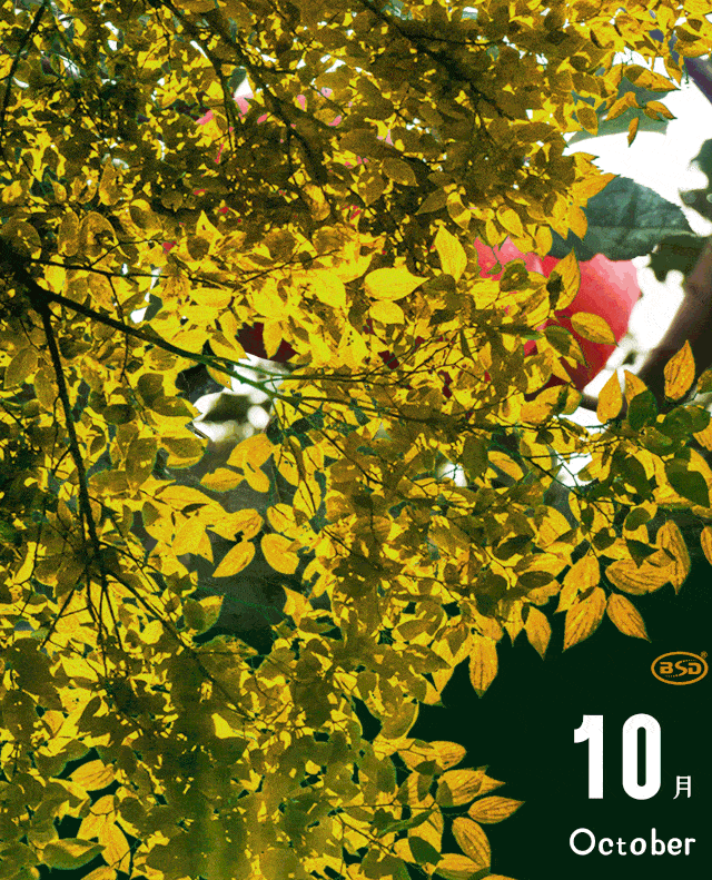 640_791 竖版 竖屏