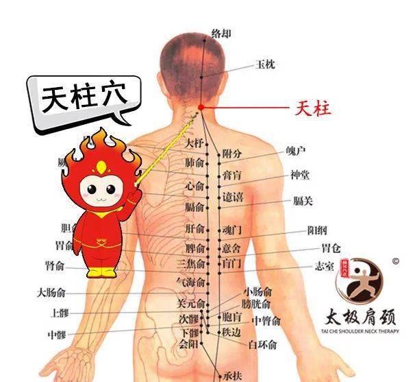 太极肩颈每日一穴||天柱穴:常按助性养生,缓解头痛!