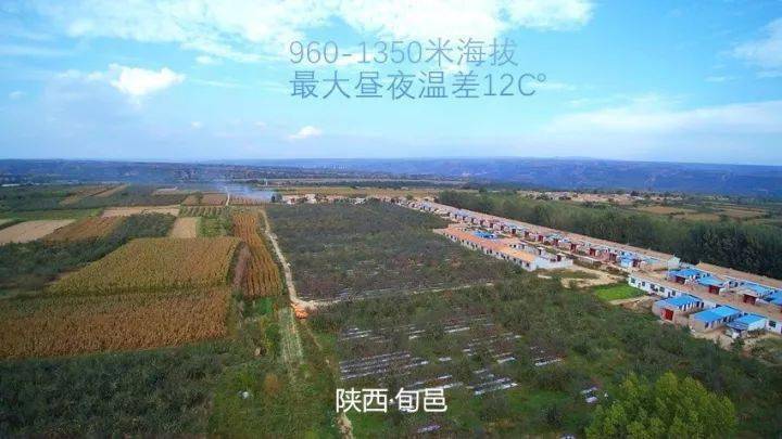 2020咸阳金秋采摘旅游节丨看抗疫热播剧在一起吃旬邑马栏红苹果
