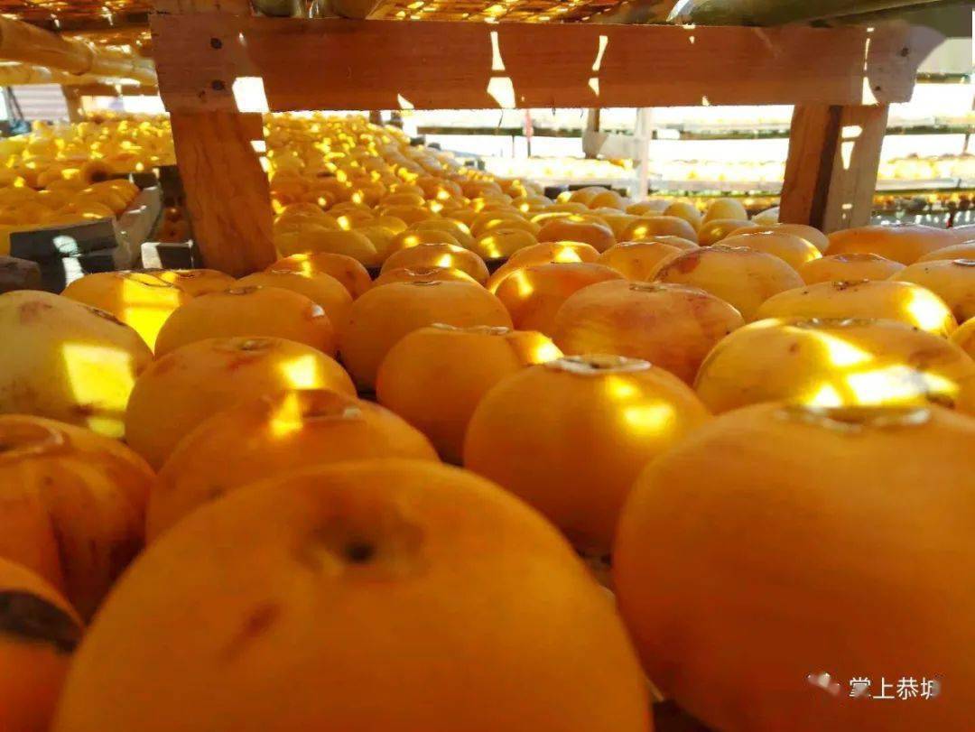 怎样晒柿子饼快 49f075b513394c67831eecd9b999166f.jpeg