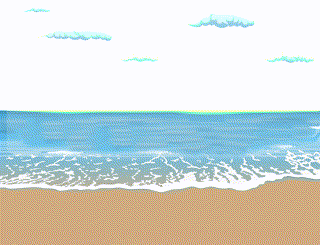 320_245