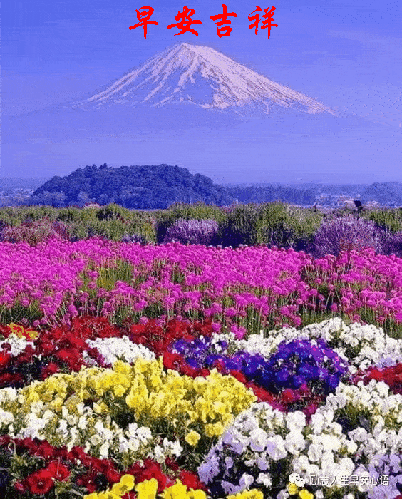 564_700 竖版 竖屏