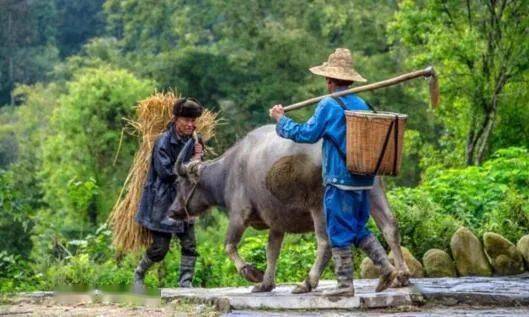如何打造乡村开云体育 开云平台休闲农业的“五味”？(图2)
