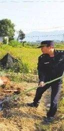 应姓总人口_世界总人口预测