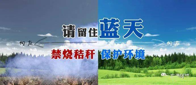 秸秆禁烧的工作安排 2f25d18d1fda4fdd95ffb9ad0adbad0c.jpeg