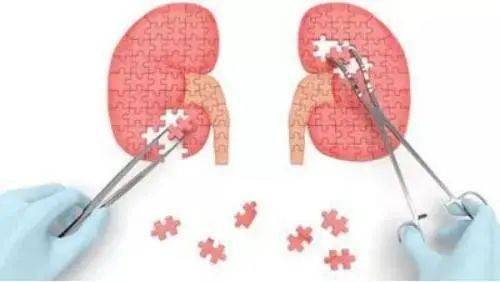 病理|【专家谈病】 一场感冒，可能引起肾病！