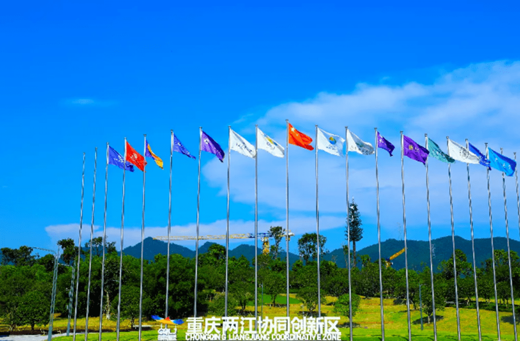 两江新区2020一季度G_两江新区老约翰书店