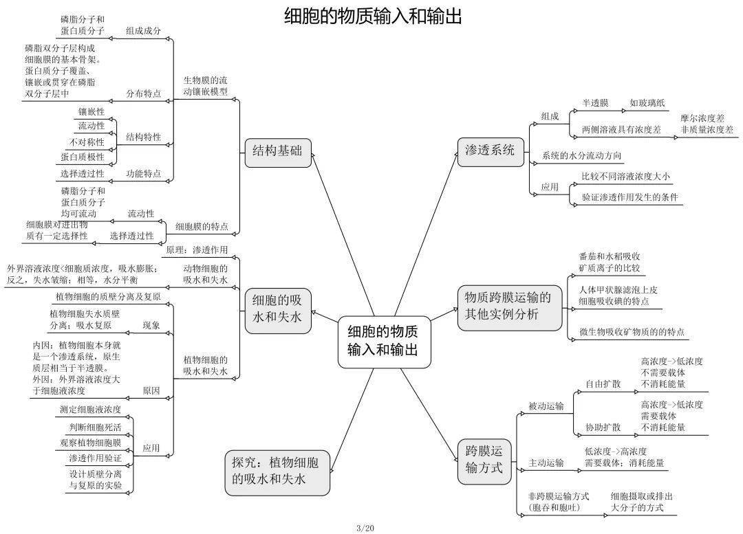 干货| 高中生物必修 选修思维导图最全归纳, 从此复习