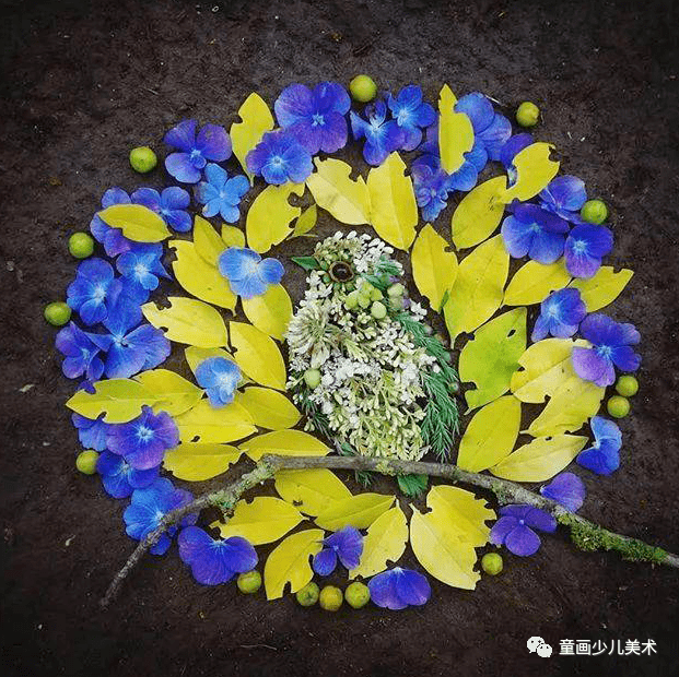 她所有的作品素材都来自大自然中 随处可见的树叶,树枝,花瓣,种子等