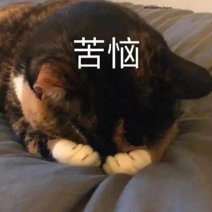 眉毛|跟着抖音学化妆的女生，到底有多惨？