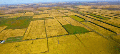 佳木斯人均收入_佳木斯大学(3)