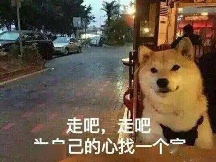 排行榜|第一名竟然是……大学最易挂科专业排行榜