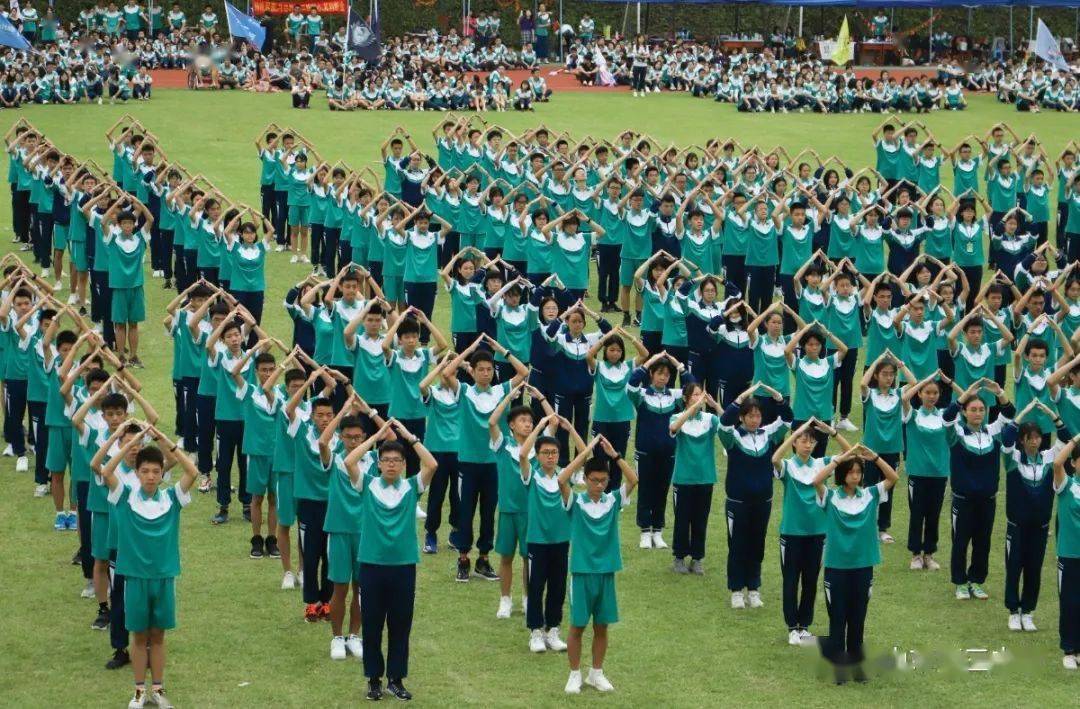 佛山市2020年上半年g_佛山市假烟案2021年(2)