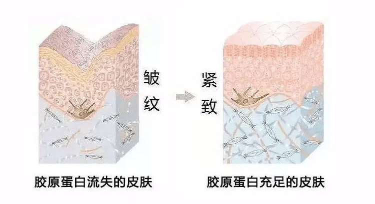 美容|看完《浪姐》，谁不羡慕张雨绮的美貌？！