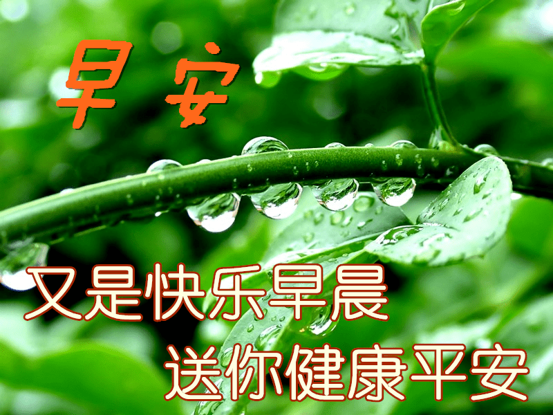 10月15日最漂亮早上好动态表情图片大全,早晨好美图大全