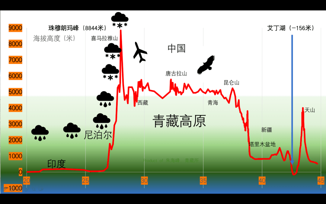 树语者|他用树轮来记录冰川的消退_青藏高原