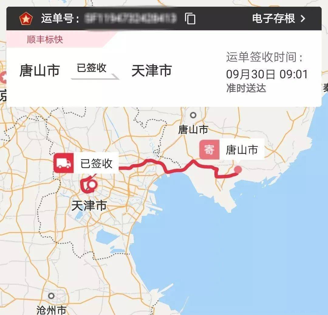 潍坊信教人口_潍坊风筝节(2)