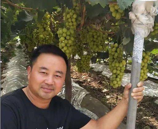 延津县有多少人口