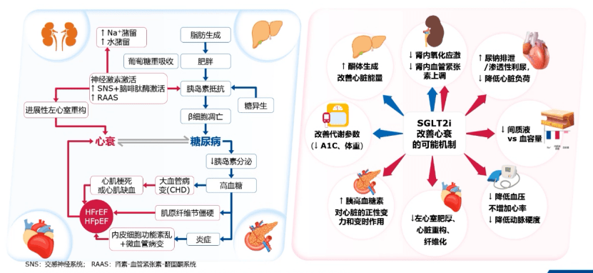 糖尿病伴心血管疾病降糖药物怎么选一图get指南最新推荐