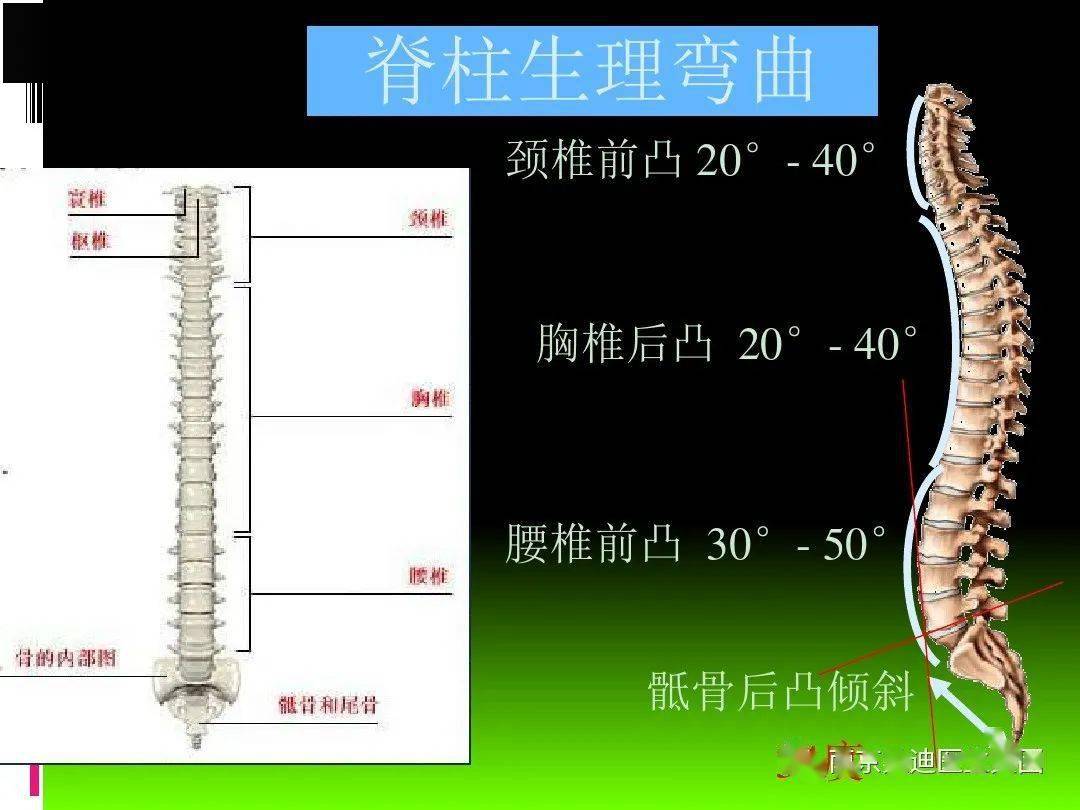 腰椎间盘突出影像学课件