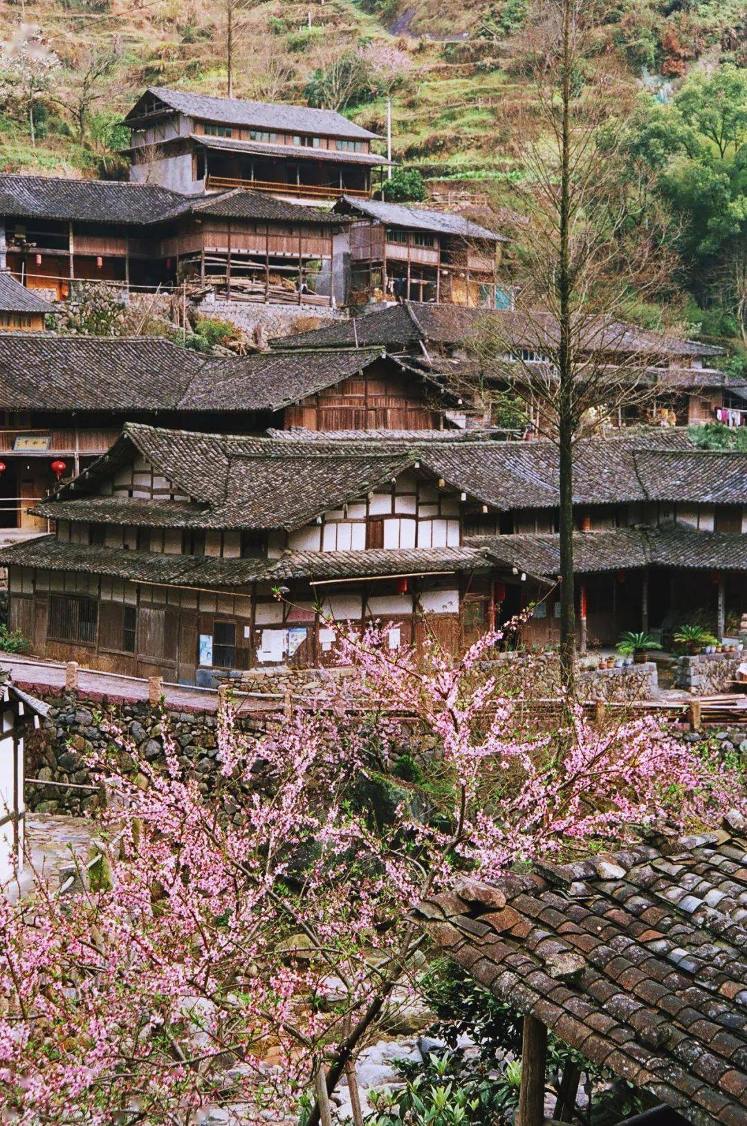 林坑村人口_人口普查图片(2)