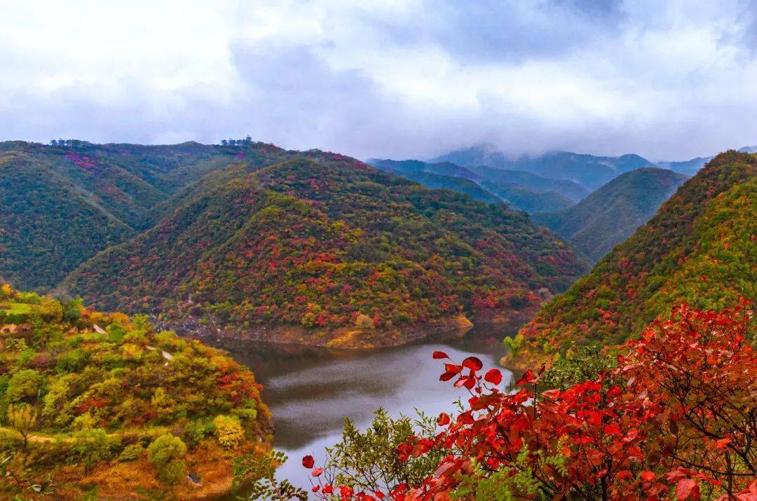 平陆县大河庙层林尽染风景美如画