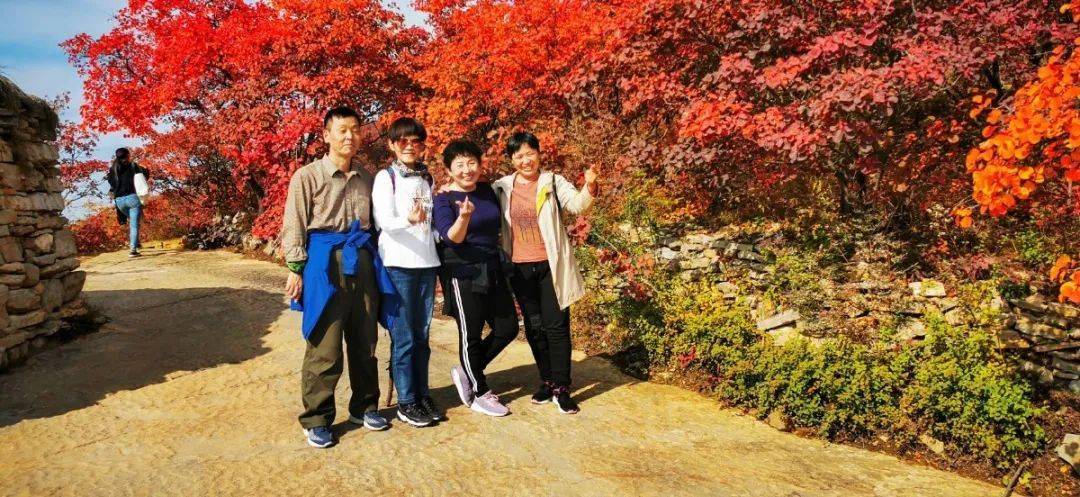 最新消息:金沙河佛照山红叶节盛况