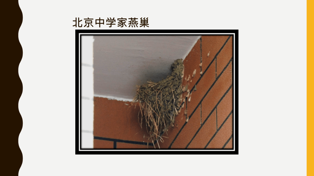燕出什么巢成语_成语故事图片(2)