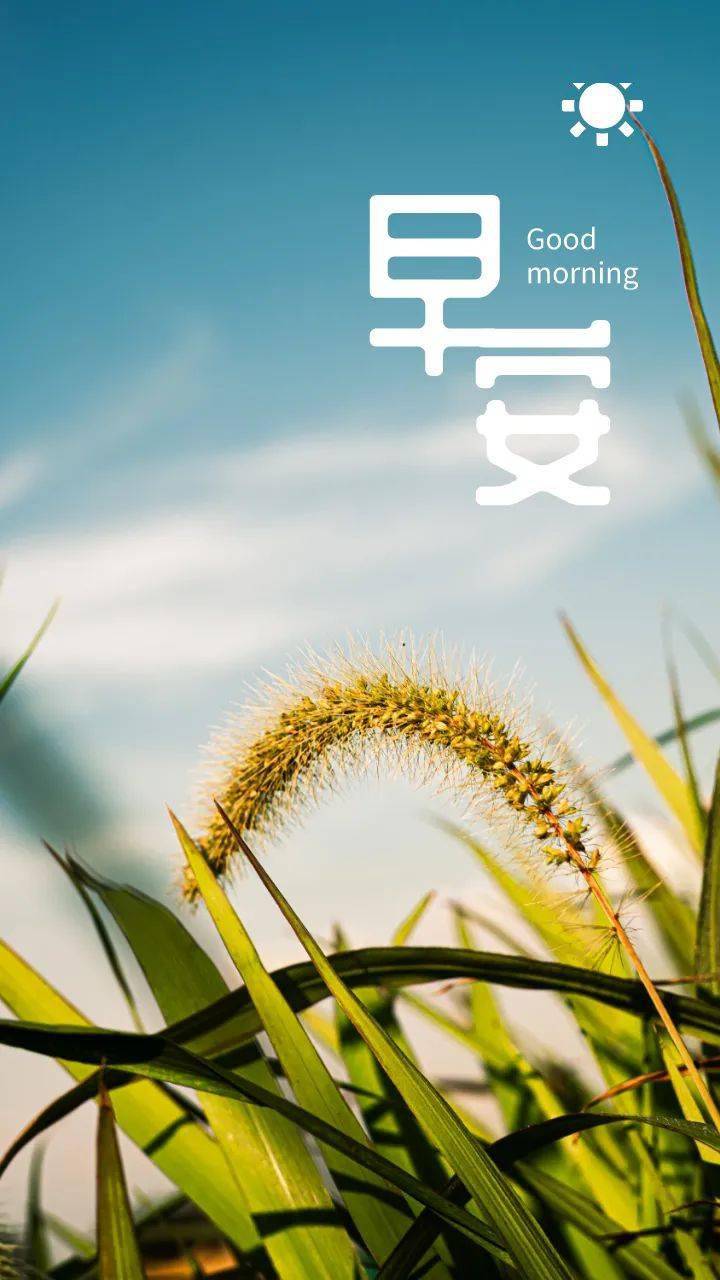不辜负时光, 不蹉跎岁月,以饱满的热情,做好每一件事,让你生命中的