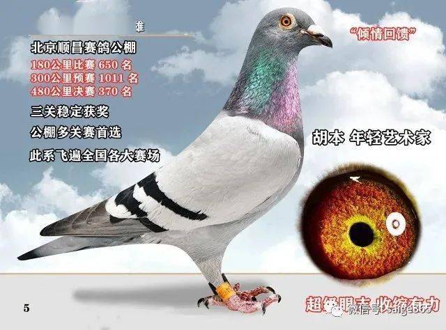 5caac6e761284a61b5f22e279de89342.jpeg