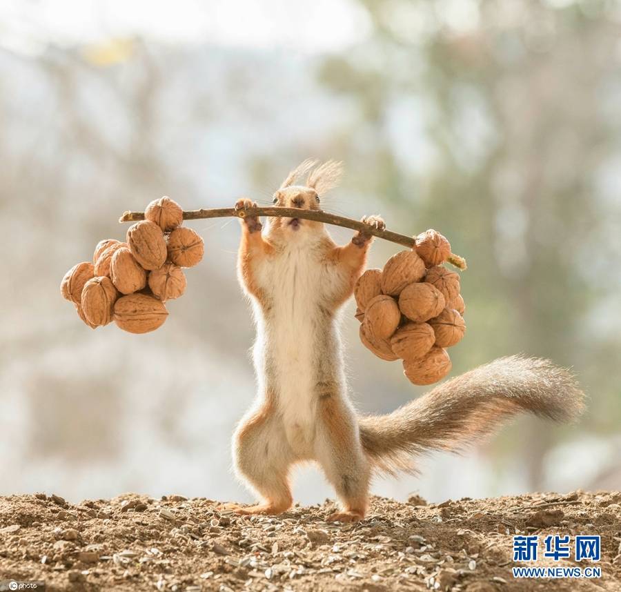 令人捧腹大笑的趣事作文