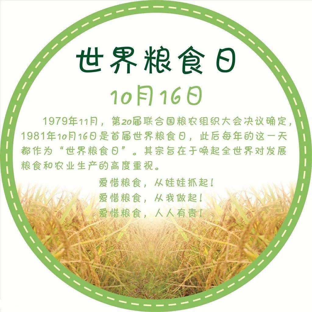 【世界粮食日】关注粮食安全 善待每粒粮食