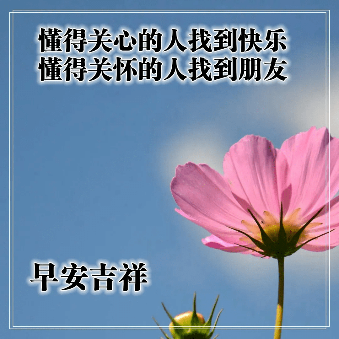 九月初一早上好问候语图片大全,最美早安祝福语唯美表情