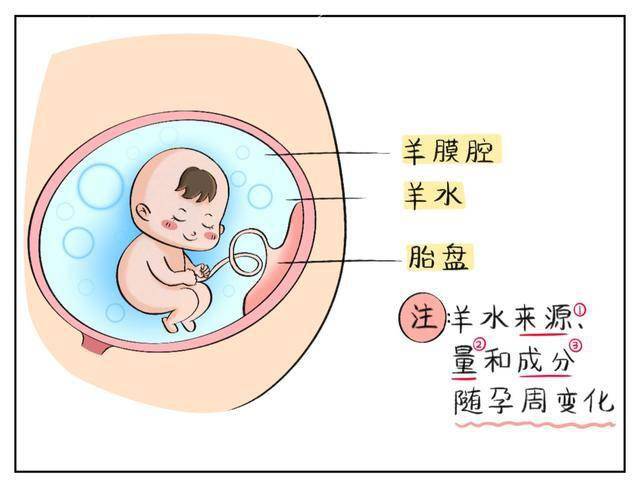 为何胎儿能在羊水中待满40周?三个信号出现,孕妈羊水或有异常