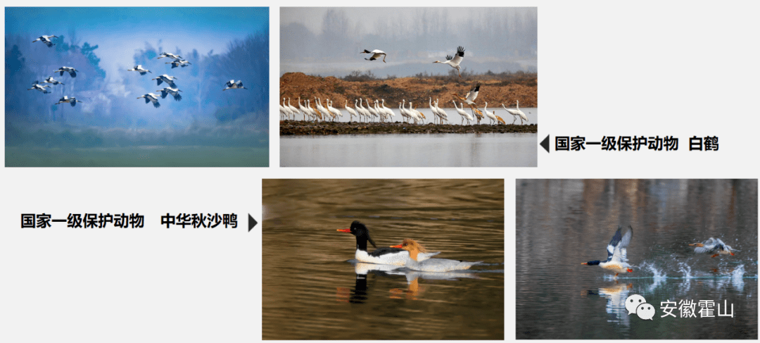 霍山年经济总量_世界经济总量图片