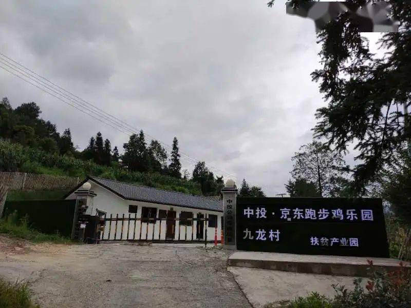 扶贫|京东的跑步鸡 ，跑出了一个自有扶贫品牌矩阵